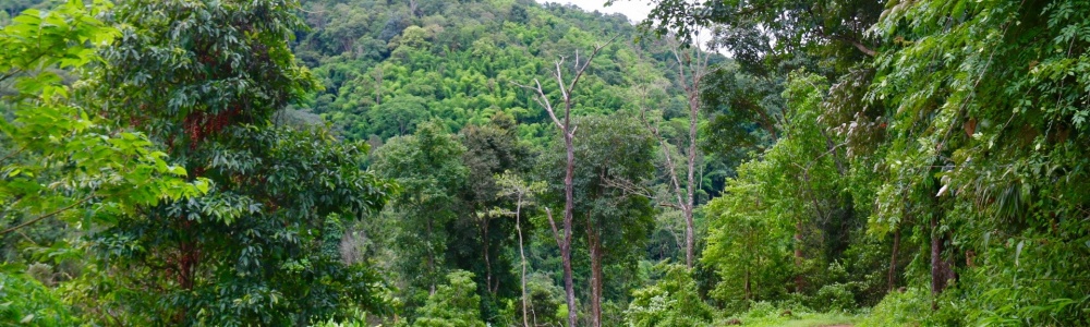 L'ESPRIT ALTAÏ THAILAND